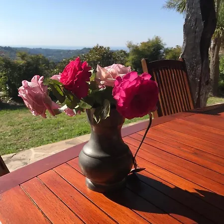 Villa Superb Provencal House